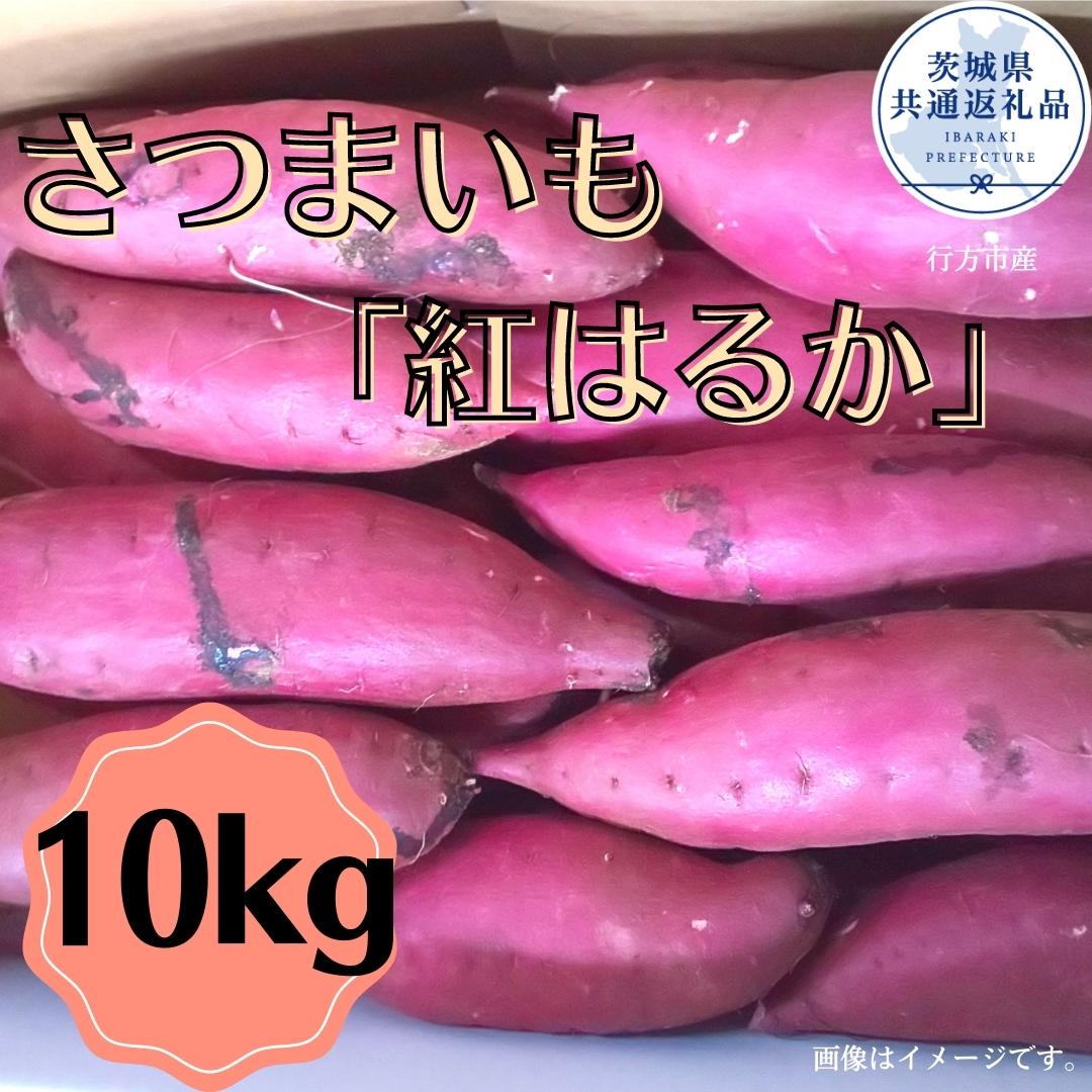 商品説明 名称 【ふるさと納税】さつまいも「紅はるか」10kg（茨城県共通返礼品・行方市産） 温度帯 常温 内容量 10kg×1箱 発送期日 ご寄付納入確認後、2023年11月～2024年8月に発送します。 11月以降お申込み分は、寄附納入確認後1か月以内に発送します。 ※生産の都合で前後する場合があります。 消費期限 生ものですので、お早めにお召し上がりください。 ※目安到着2週間以内 返礼品提供事業者 渋谷農園 ・ふるさと納税よくある質問はこちら ・寄附申込みのキャンセル、返礼品の変更・返品はできません。あらかじめご了承ください。【ふるさと納税】さつまいも「紅はるか」10kg（茨城県共通返礼品・行方市産） （茨城県共通返礼品・行方市産） 日本さつまいもサミット2022でさつまいも・オブザイヤー受賞した行方市の渋谷農園のさつまいもです。紅はるかは、ねっとりとして甘みが強いまるでスイーツのようなさつまいもです。ぜひ焼き芋で紅はるか本来の甘みを実感してみてください。 ※届いたら冷蔵庫に入れず10℃以下にならない場所に保管して下さい。 ※日本さつまいもサミット2022でさつまいも・オブザイヤーを受賞した品種は、ひめあやかです。 ※新芋ではありませんのでご了承ください。 ※大きさは様々なサイズを組み合わせていれています ※洗浄の際などに多少の皮剥けなどが生じますのでご了承ください 「ふるさと納税」寄附金は、下記の事業を推進する資金として活用してまいります。 寄附を希望される皆さまの想いでお選びください。 市長が必要と認める事業 産業の振興に資する事業 市のイメージづくり等への事業 健康づくり・スポーツ推進への事業 文化・芸術活動に資する事業 子育て・高齢化・人口減少対策事 特段のご希望がなければ、市政全般に活用いたします。 入金確認後、注文内容確認画面の【注文者情報】に記載の住所にお送りいたします。 寄附確認後30日以内を目途に、お礼の品とは別にお送りいたします。