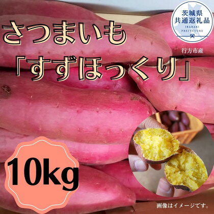 さつまいも「すずほっくり」10kg（茨城県共通返礼品・行方市産）