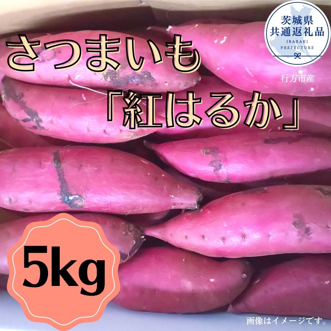 さつまいも「紅はるか」5kg(茨城県共通返礼品・行方市産)