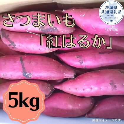 さつまいも「紅はるか」5kg（茨城県共通返礼品・行方市産）