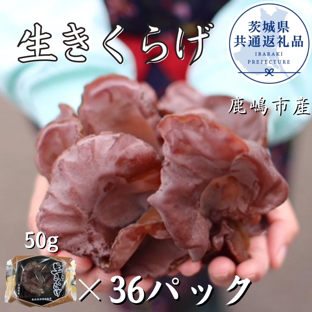 生きくらげ 50g×36パック(茨城県共通返礼品・鹿嶋市産)