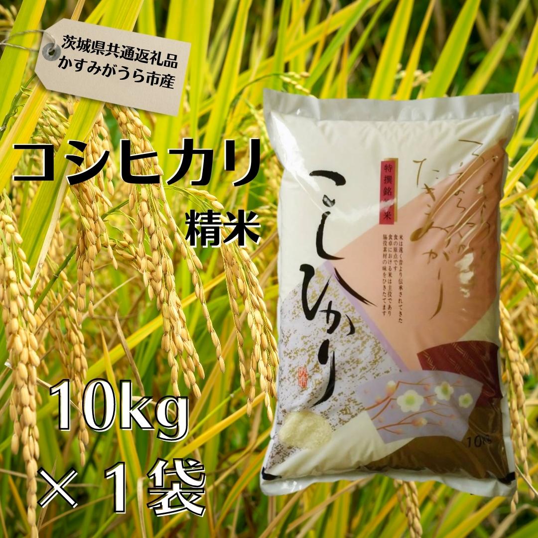 【ふるさと納税】コシヒカリ　精米10kg（茨城県共通返礼品・かすみがうら市産）