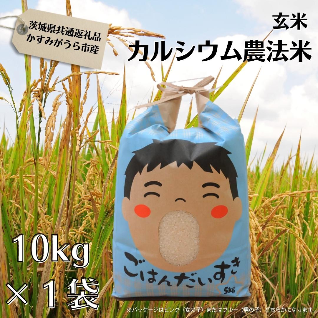 カルシウム農法米 玄米10kg(茨城県共通返礼品・かすみがうら市産)