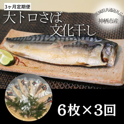 【3ヶ月定期便】大トロさば文化干し　6枚×3回　（茨城県共通返礼品・神栖市産）