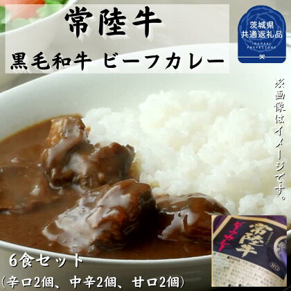 常陸牛【黒毛和牛】 ビーフカレー 6食セット（茨城県共通返礼品・茨城町産）