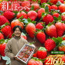 【ふるさと納税】【1月~3月発送】紅ほっぺ