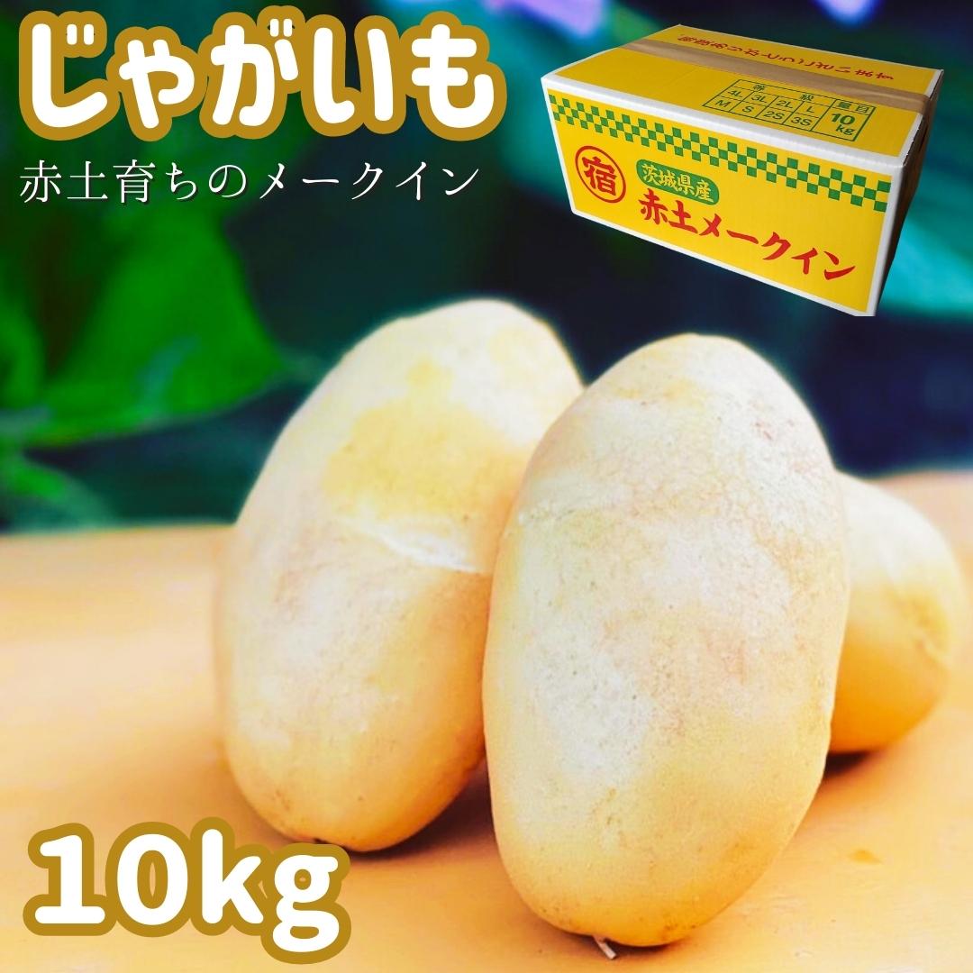 サイズが選べる!じゃがいも(赤土メークイン)10kg (3L,2L,L,Mサイズ)