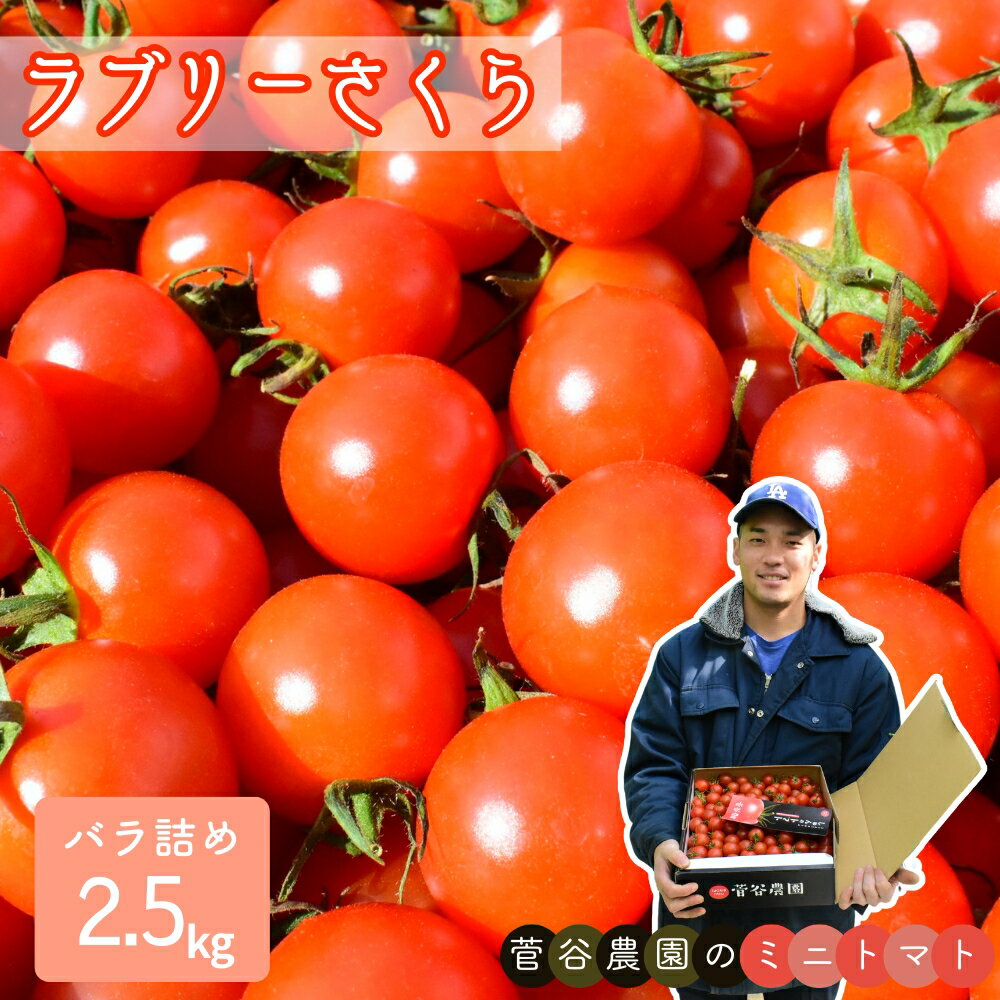 【ふるさと納税】小さいのに旨みとコクあり！ ミニトマト （ ラブリーさくら ）バラ詰め／2.5kg
