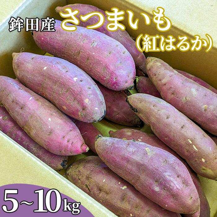 鉾田産さつまいも（紅はるか）S～2Lサイズ　5～10kg