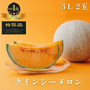 【ふるさと納税】 メロン 生産量日本一 めろん クインシーメロン (3L×2玉) おすすめ 人気 国産 先行予約 青肉 赤肉 産地直送 大きい 定番 ギフト 贈...