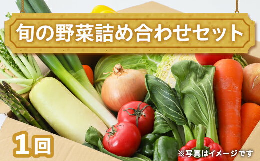 田舎の頑固おやじ厳選!旬の野菜詰め合わせセット