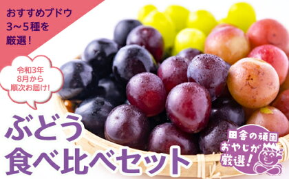 田舎の頑固おやじが厳選!ブドウはこれだっぺセット【令和3年8月から順次お届け】 ギフト フルーツ 果物 ぶどう 葡萄 詰合せ