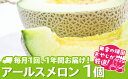 【ふるさと納税】 【定期便】 アールスメロン 食べてみセット 1個入り 毎月1回 1年コース (全12回) ギフト フルーツ 果物