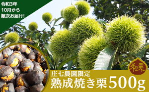 【ふるさと納税】庄七農園 限定 熟成 焼き栗 500g(10月から順次お届け) くり 焼栗 おやつ スイーツ 茨城