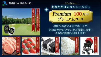 あなただけのコンシェルジュ(プレミアムコース)100万円