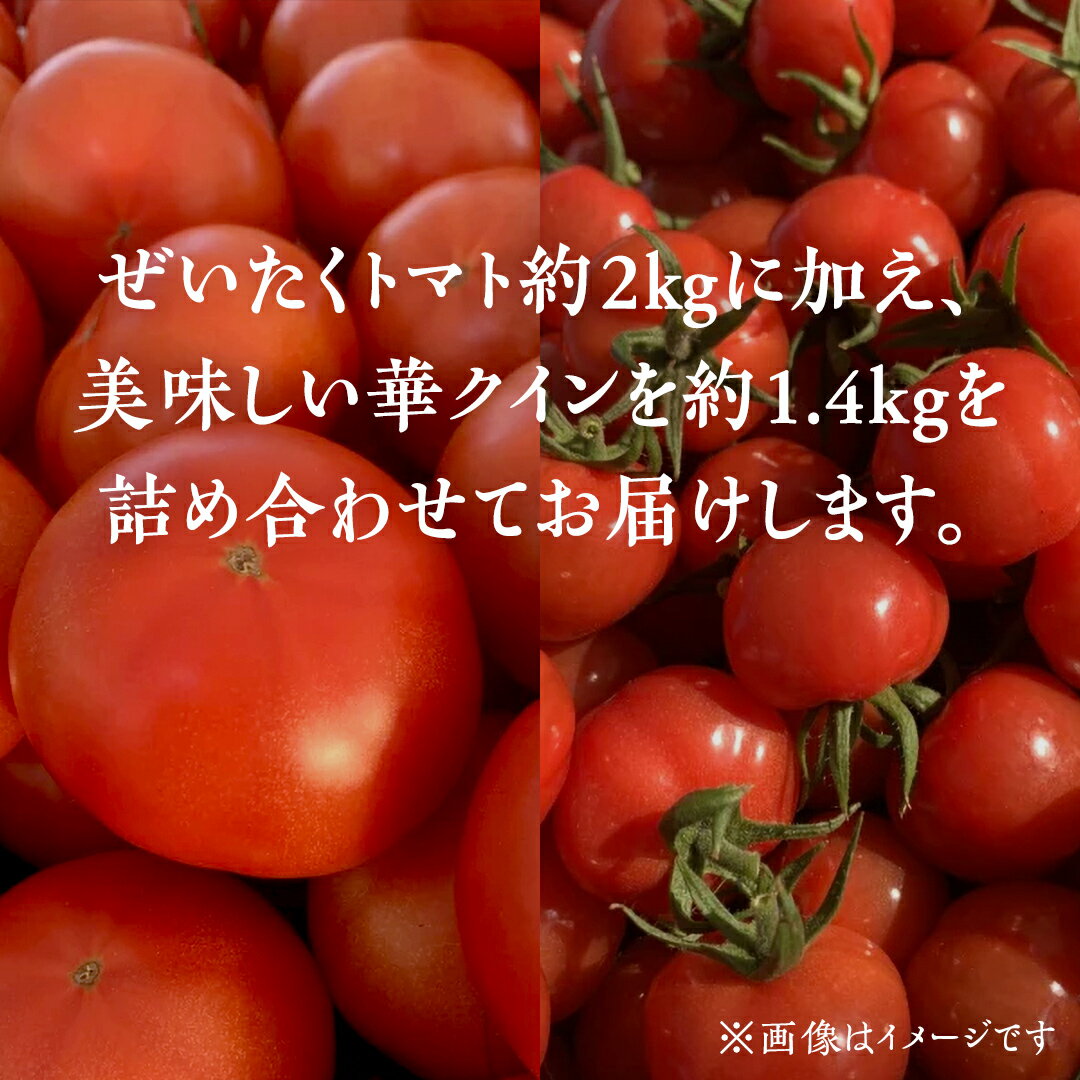【ふるさと納税】野口農園 ！ ぜいたくトマト（2kg）と華クイン（1.4kg） 新鮮 美味しい 野菜