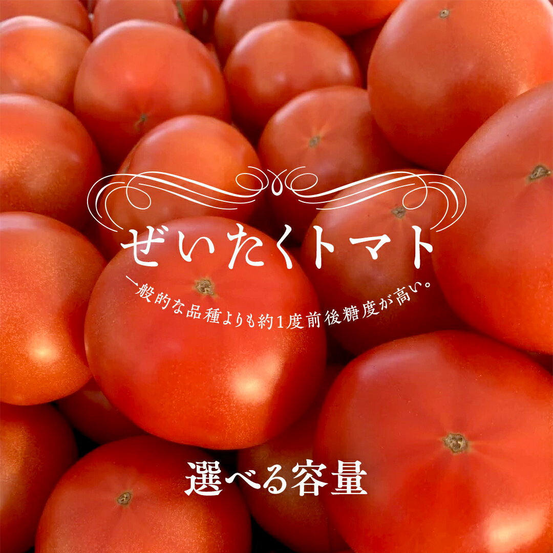 ぜいたくトマト!約2kg ( 9個〜12個 )× 1箱 〜 2箱 トマト 大玉トマト 新鮮 美味しい 野菜