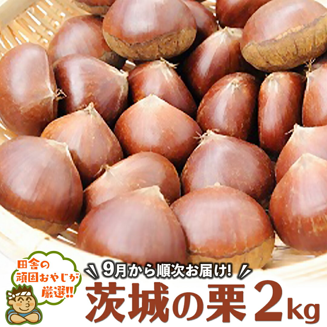 【ふるさと納税】茨城の栗2kg【令和6年9月より発送開始】田舎の頑固おやじが厳選！