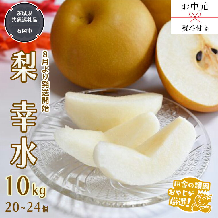 【ふるさと納税】【 お中元 熨斗付 】幸水10kg （20～24個） 【令和6年8月から発送開始】 （県内共通返礼品：石岡市産） 梨 幸水 フルーツ 果物 旬