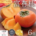 25位! 口コミ数「0件」評価「0」【 お歳暮 熨斗付 】富有柿 6個 【令和6年12月から発送開始】 （県内共通返礼品：石岡市産） 柿 富有柿 果物 フルーツ 季節 旬