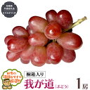 【ふるさと納税】【 桐箱入り 】我が道〈ぶどう〉 1房 【令和6年9月から発送開始】（県内共通返礼品：かすみがうら市産） ぶどう 我が道 果物 フルーツ 季節 旬