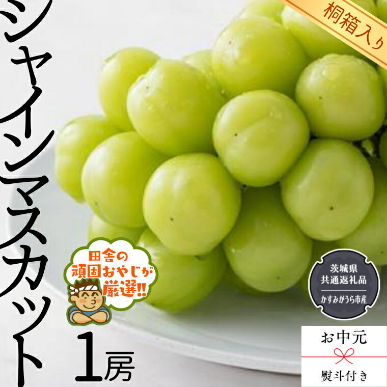 【ふるさと納税】【 お中元 熨斗 付 】【 桐箱入り 】シャインマスカット 1房 【令和6年8月より発送開始】（県内共通返礼品：かすみがうら市産） シャインマスカット ぶどう 果物 フルーツ 季節 旬