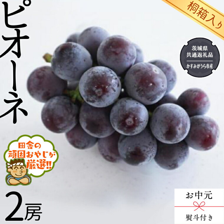 【ふるさと納税】【 お中元 熨斗 付 】【 桐箱入り 】 ピオーネ2房 【令和6年8月より発送開始】（県内共通返礼品：かすみがうら市産） ピオーネ ぶどう 果物 フルーツ 季節 旬