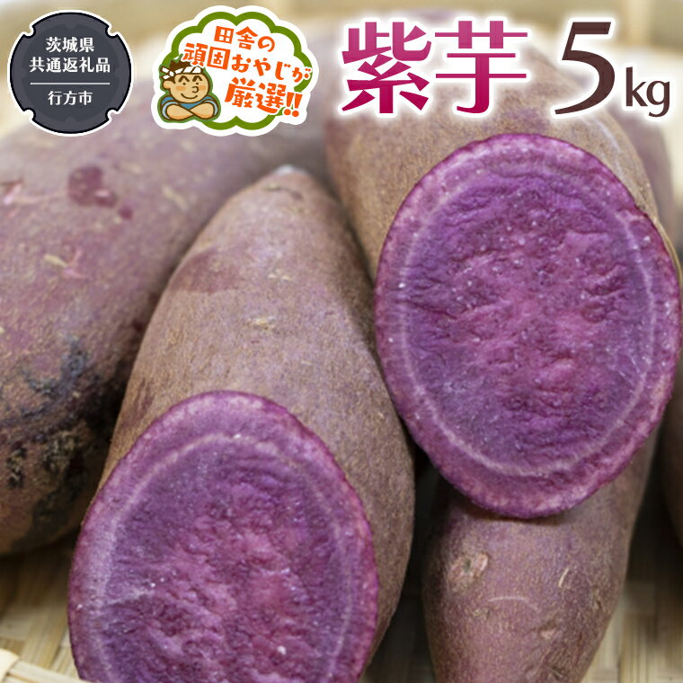 【ふるさと納税】紫芋 5kg 【令和5年12月から発送開始】（県内共通返礼品：行方市産） さつまいも 紫芋 芋 いも 野菜のサムネイル