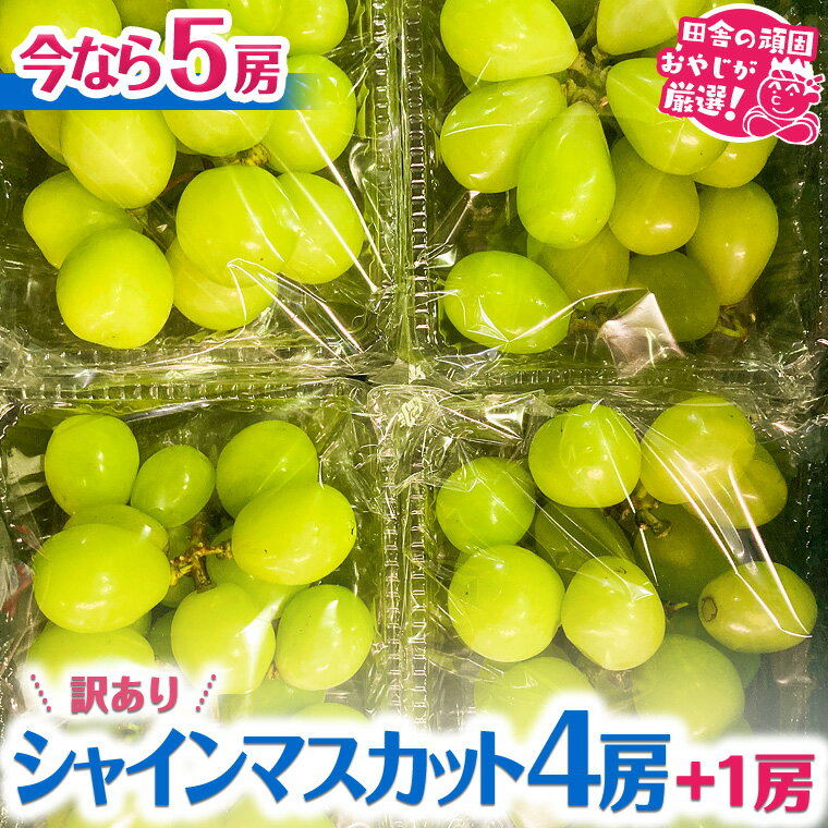 【ふるさと納税】【 期間限定 ：7/4～7/11 】 【 訳あり 】 シャインマスカット 4房 + 1房 【令和5年9月より発送開始】 田舎の頑固おやじが厳選！ ぶどう ブドウ フルーツ 果物 増量 キャンペーン マスカットのサムネイル