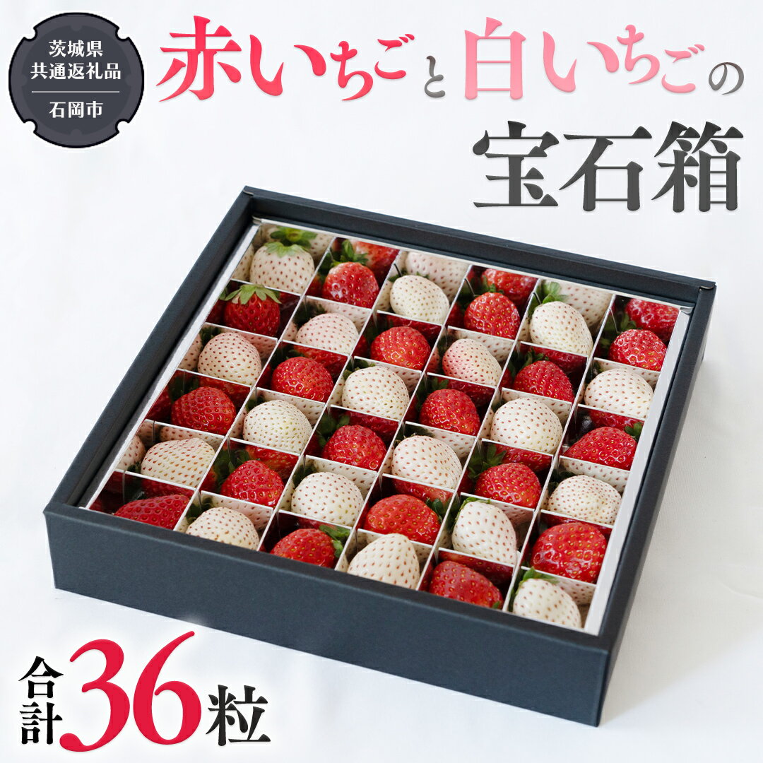 【ふるさと納税】赤いちご と 白いちごの宝石箱 36粒 【令