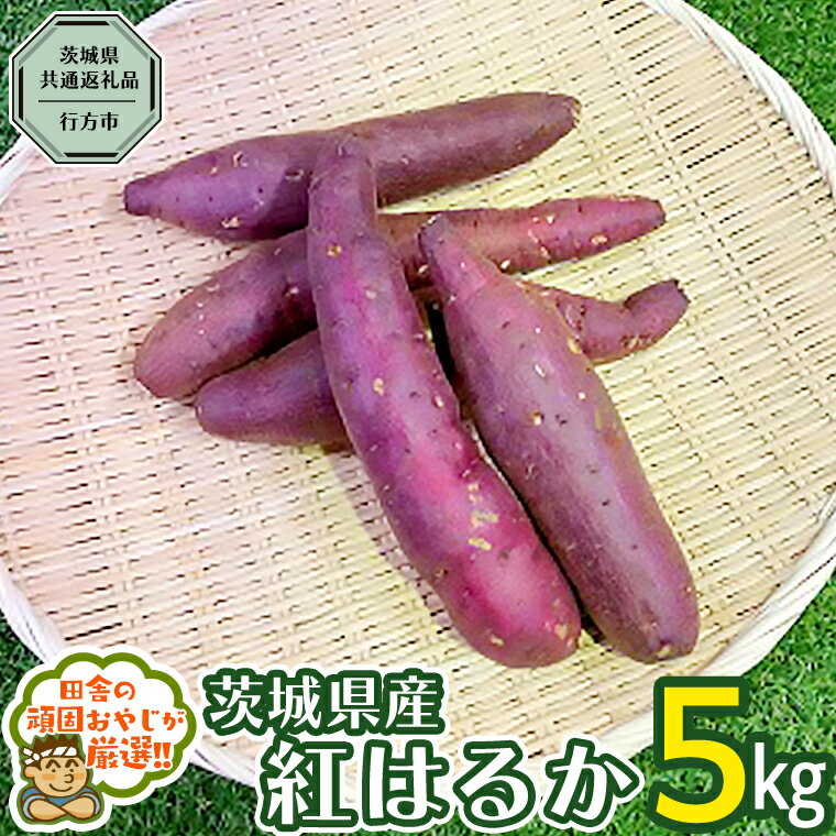 【ふるさと納税】べにはるか 5kg 【令和5年10月から発送開始】（県内共通返礼品：行方市産） さつまいも 紅はるか 芋 いも 野菜のサムネイル