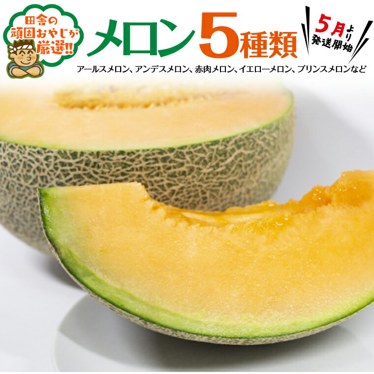 【ふるさと納税】メロン 5種 だっぺセット【5月から順次お届け】田舎の頑固おやじが厳選!