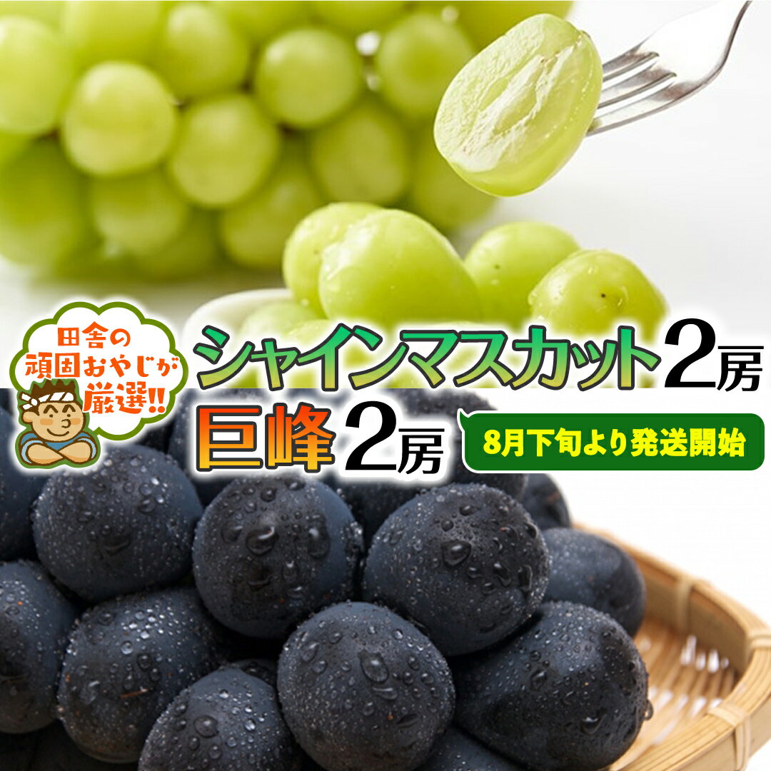 【ふるさと納税】 シャインマスカット 2房 ・ 巨峰 2房 セット【令和6年8月下旬より発送開始】田舎の頑固おやじが厳選！ 1