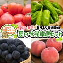 暑い夏にはビールと枝豆。　 デザートはぶどうだっぺ！！ 果物は、ブドウ、すいか、桃…etc 野菜は、枝豆、茄子、ししとう、トマト…etc 贅沢に果物と野菜をたべて、夏を乗り切りましょう！ ※お受取り後はすぐに状態をご確認ください。万全を期し...