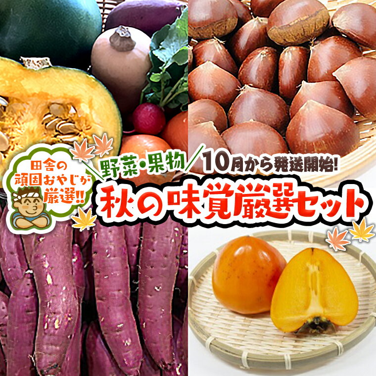 3位! 口コミ数「0件」評価「0」秋の味覚（野菜・果物）厳選セット【令和6年10月より発送開始】田舎の頑固おやじが厳選！