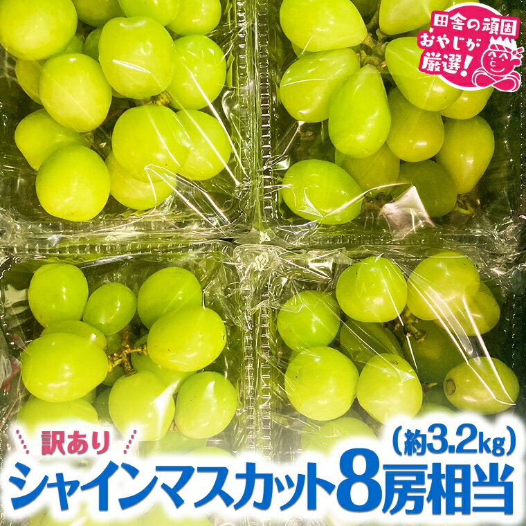 【 訳あり 】 シャインマスカット 8房相当（約3.2kg） 【令和6年9月より発送開始】 田舎の頑固おやじが厳選！