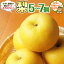 【ふるさと納税】 梨 5～7個 【令和6年9月より発送開始】田舎の頑固おやじが厳選！ ギフト フルーツ 果物