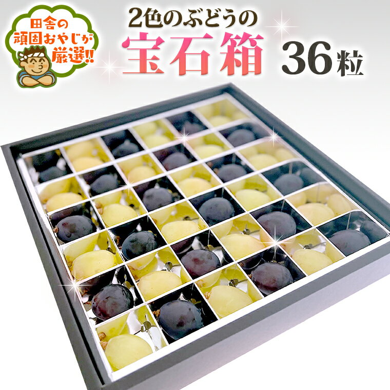 2色のぶどうの宝石箱 【令和6年8月中旬より発送開始】 田舎の頑固おやじが厳選！旬 フルーツ 詰め合わせ 果物 夏