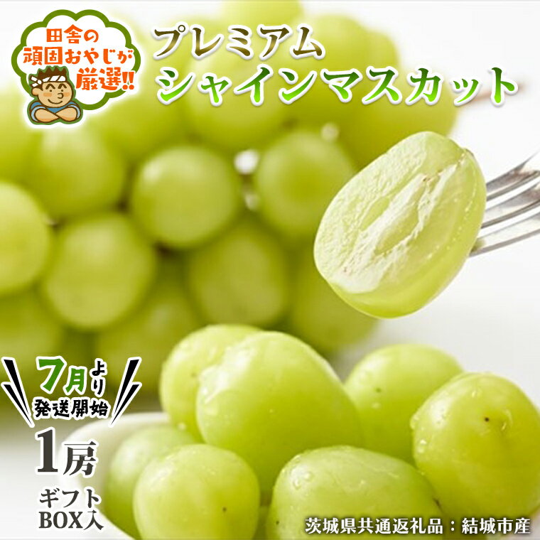 【ふるさと納税】＼ 熨斗対応 ／プレミアムシャインマスカット 1房 ギフト BOX 入り （茨城県共通返礼品 [ぶどう]：結城市産）茨城県 県産 つくばみらい市 人気 厳選 果物 くだもの 旬 旬の果物