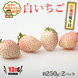 【ふるさと納税】＜お歳暮熨斗付＞白いちご約250g×2パック 【令和6年12月より発送開始】 田舎の頑固おやじが厳選！ 茨城県 県産 つくばみらい市 人気 厳選 果物 くだもの 旬 旬の果物 旬のフルーツ 白イチゴ 白いちご 白苺 いちご イチゴ 苺 熨斗 熨斗付き お歳暮 御歳暮