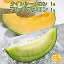 【ふるさと納税】 クインシーメロン 1個 アンデスメロン 1個 【8月発送開始】田舎の頑固おやじが厳選! メロン ギフト 高糖度 甘い 美味しい フルーツ