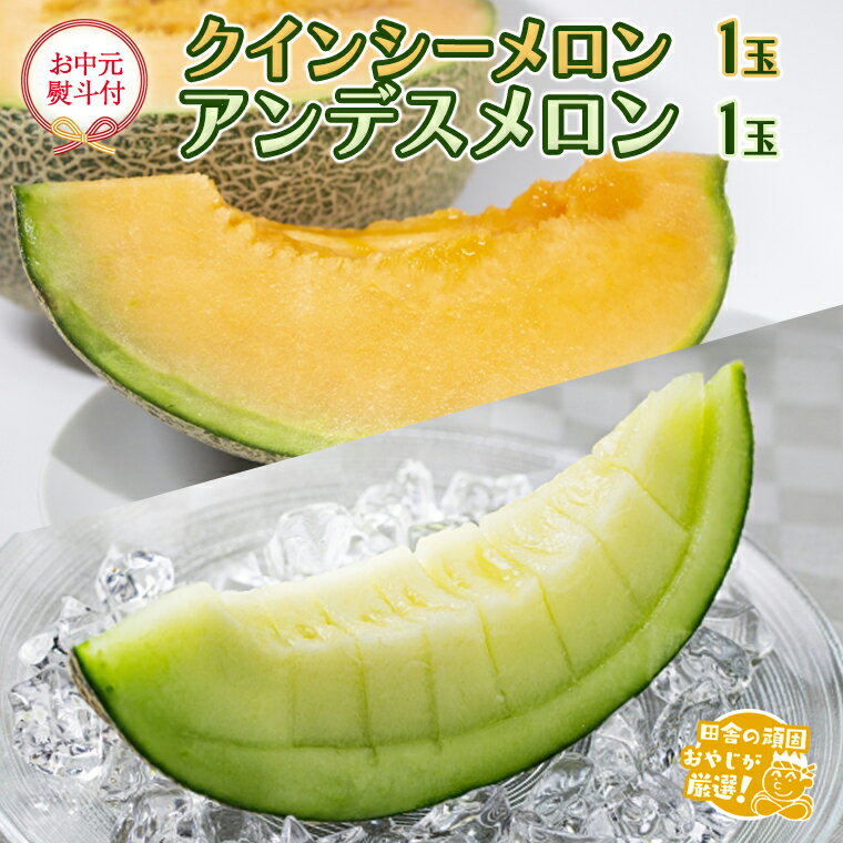 【 お中元 熨斗 付】 クインシーメロン 1個 アンデスメロン 1個 【令和6年7月より発送開始】田舎の頑固おやじが厳選！ メロン お中元 ギフト 高糖度