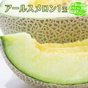 【ふるさと納税】 アールスメロン 1個 田舎の頑固おやじが厳選! メロン ギフト 高糖度 甘い 美味しい フルーツ