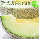 【ふるさと納税】 アールスメロン 2個 田舎の頑固おやじが厳選! メロン ギフト 高糖度 甘い 美味しい フルーツ 誕生日 プレゼント ギフト 贈り物 父の日 ...