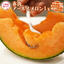 【ふるさと納税】 【お歳暮 熨斗付】 赤肉 アールスメロン 1個【2025年12月より発送開始】田舎の頑固おやじが厳選! メロン 赤肉メロン ギフト 高糖度 御歳暮 美味しい 甘い