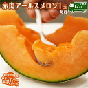 【ふるさと納税】 【定期便】 赤肉 アールスメロン 毎月1個 × 12か月 田舎の頑固おやじが厳選! メロン アールスメロン 赤肉 ギフト 高糖度 定期便 赤肉...