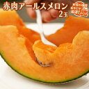 【ふるさと納税】 赤肉 アールスメロン 2個 田舎の頑固おやじが厳選!メロン アールスメロン 赤肉 ギフト 高糖度 甘い 美味しい フルーツ 誕生日 プレゼント...