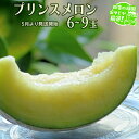 【ふるさと納税】プリンスメロン 6〜9個 【5月発送開始】 田舎の頑固おやじが厳選! メロン ジューシー ギフト 高糖度 大玉 美味しい 甘いフルーツ