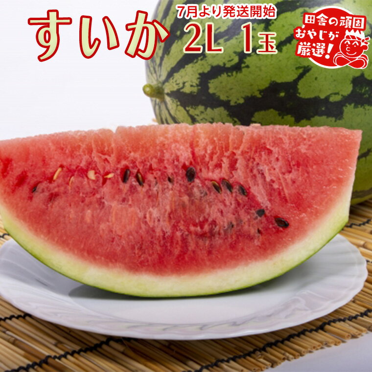 【ふるさと納税】すいか 2L×1個【2025年7月より発送開始】田舎の頑固おやじが厳選！ すいか スイカ ギフト 大玉 甘い フルーツ 美味しい