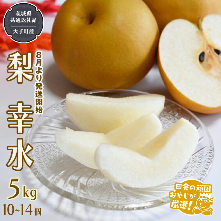 【ふるさと納税】梨 幸水 5kg 10〜14個【2026年8月より発送開始】（茨城県共通返礼品 [梨]：大子町産...